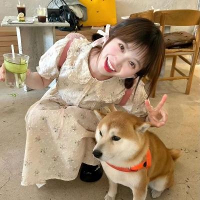 美丽的囚徒